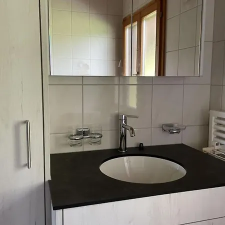 Giferblick Appartement-fewo- Dusche Oder Bad- Wc 3-bettwohnung By Interhome Апартаменты Цвайзиммен